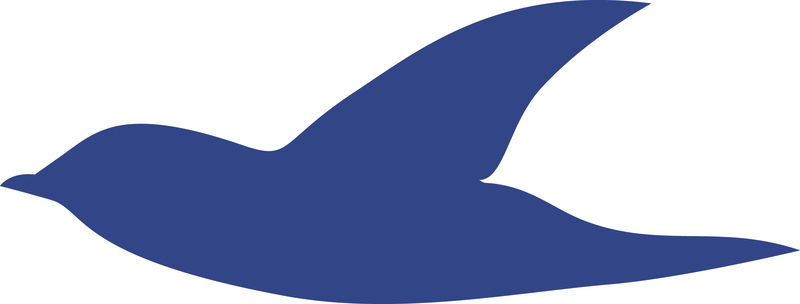 boarsheadresort.com logo