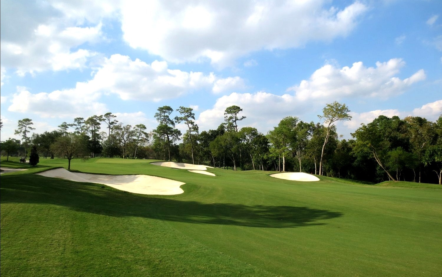 River Oaks Country Club — Member guest