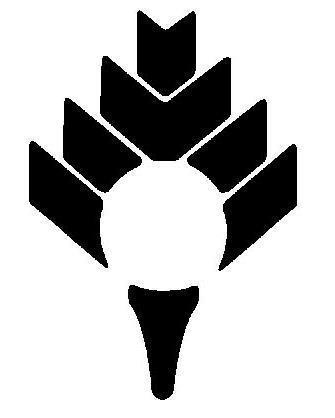 ccatcastlepines.com logo