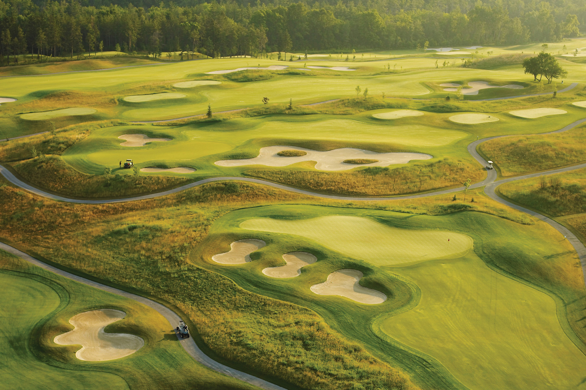 Whistle Bear Golf Club — Men's Member Guest - The ONE Day