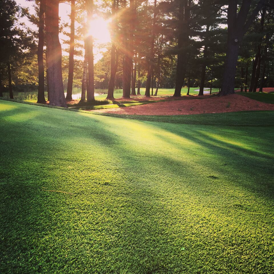 Magna Golf Club — Men's 1-Day Member Guest