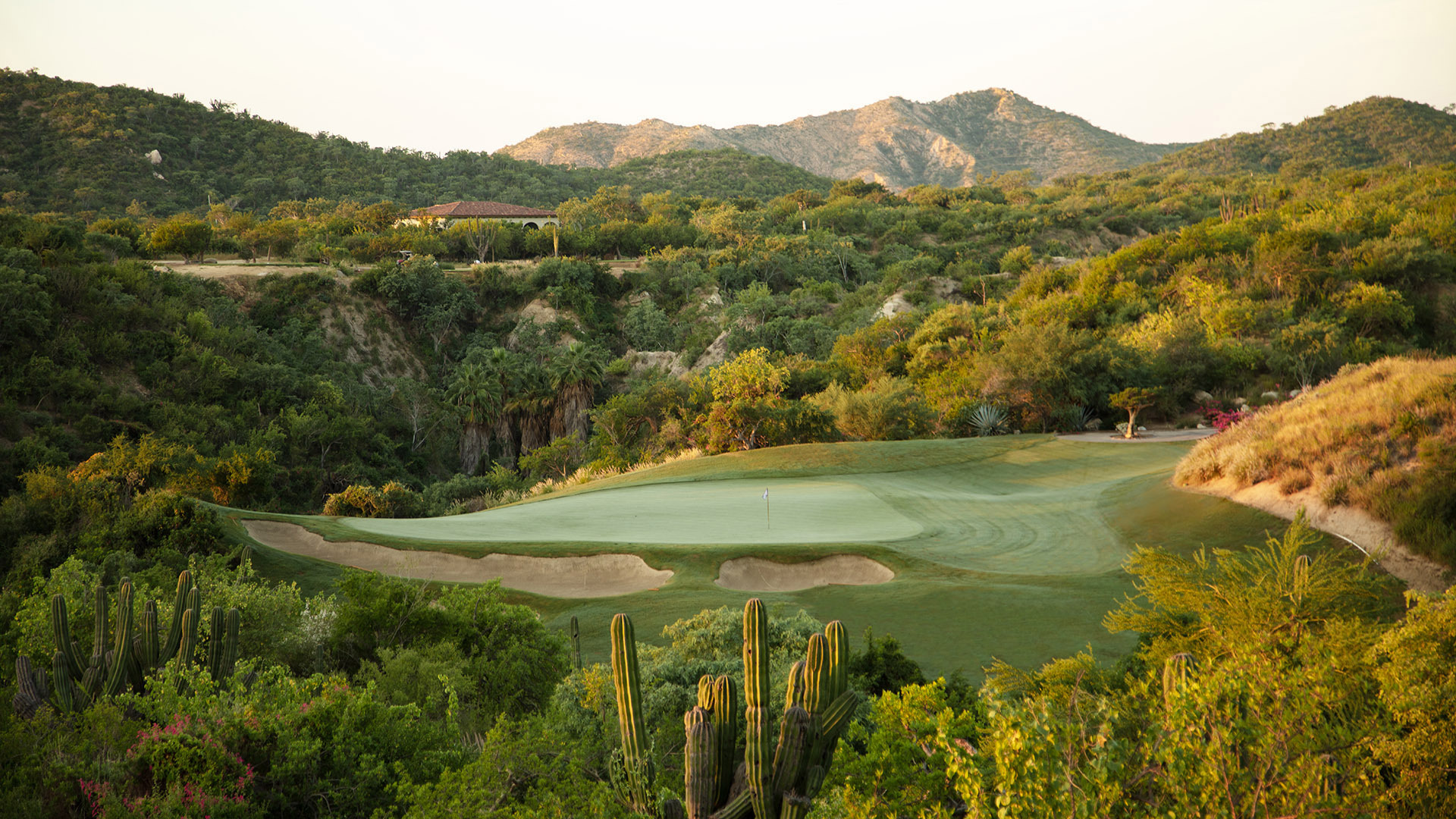 qcabo.com — "Choyero Cup" Member - Guest