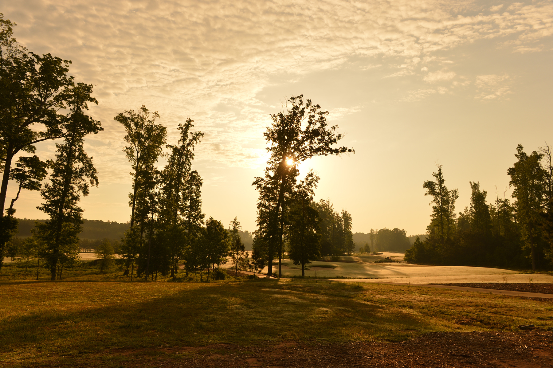 theclubat12oaks.com — Senior Member Guest