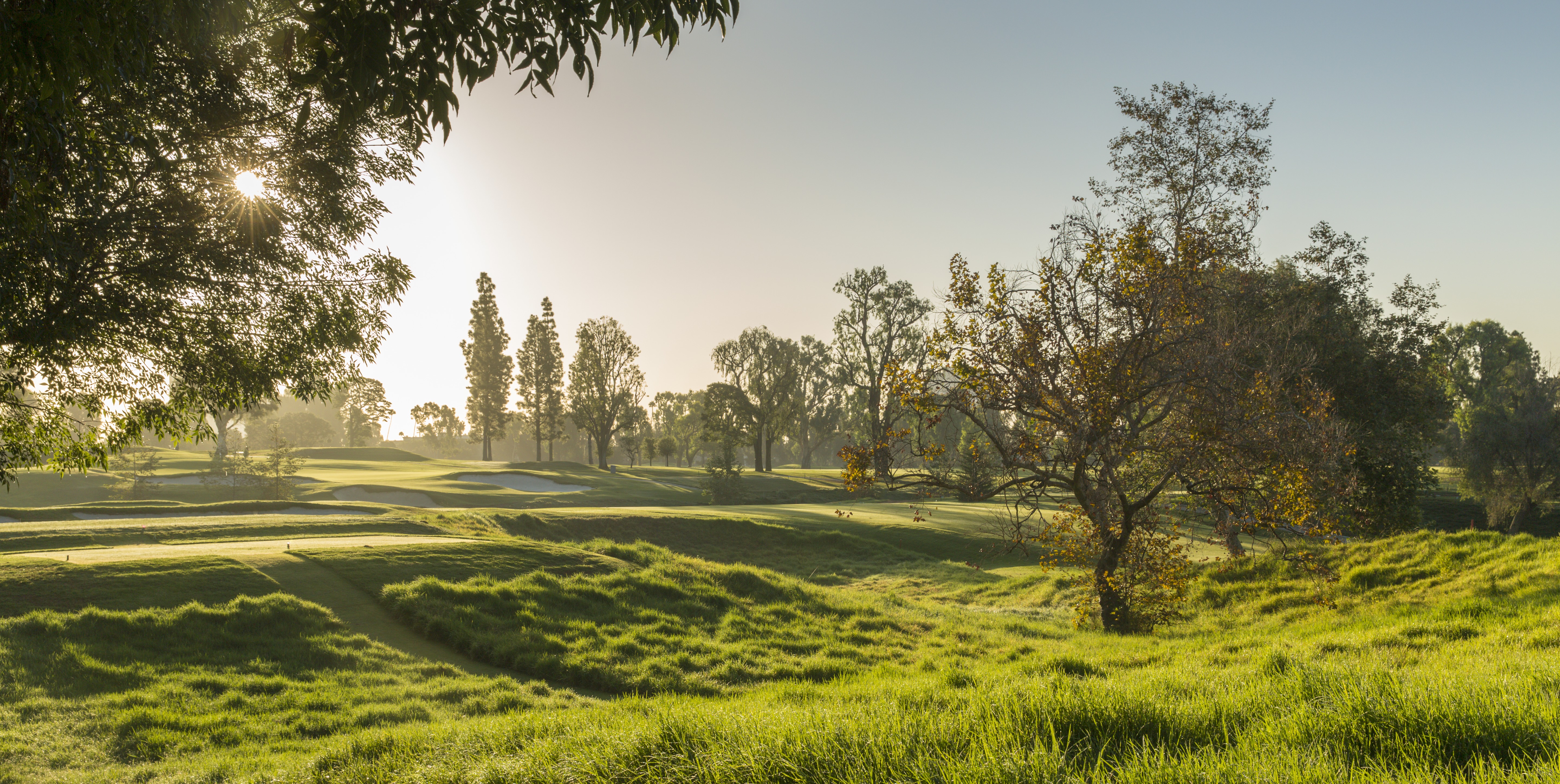 brentwoodcc.net — Brentwooder Member Guest