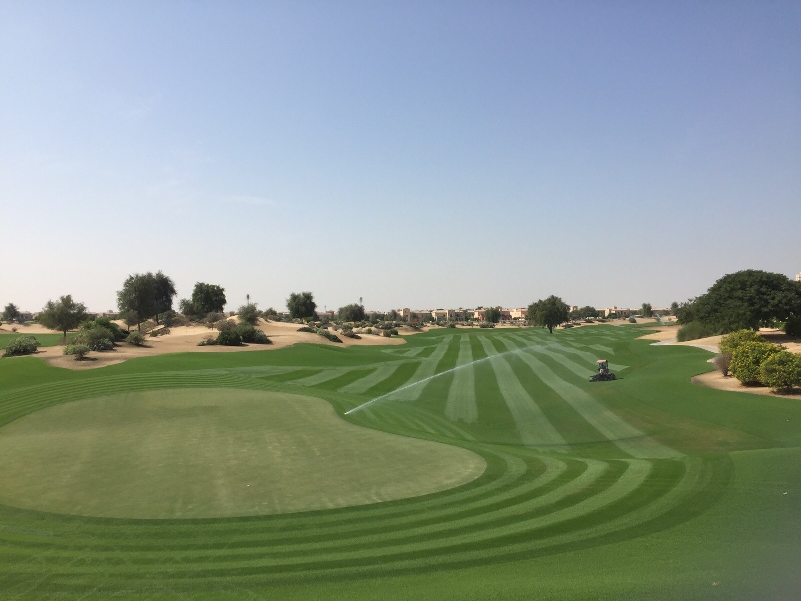 elsclubdubai.com — The Member Guest Event