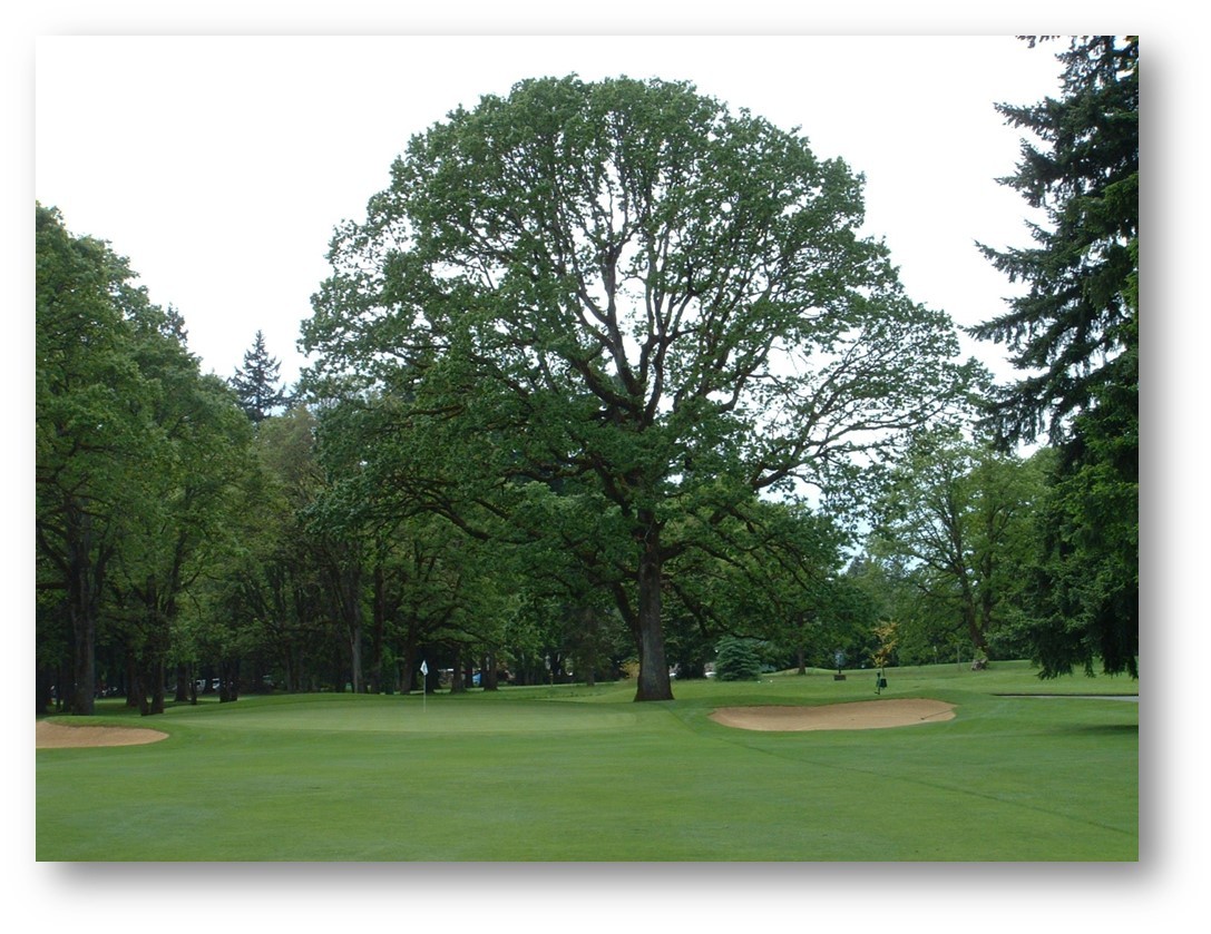 royaloaks.net — Ladies Member Guest