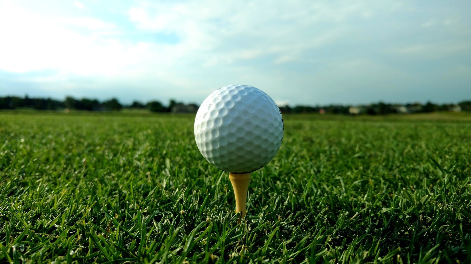 flyinghorseclub.com — Ladies Member Guest