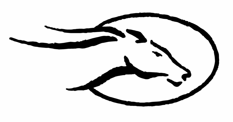 flyinghorseclub.com logo