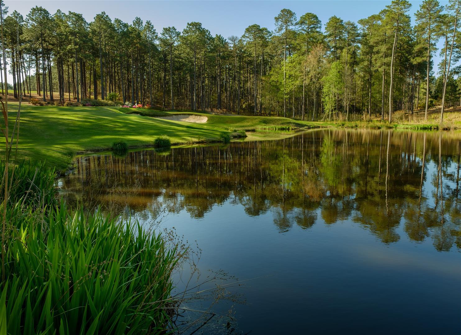 forestcreekgolfclub.com — Women's Member-Guest