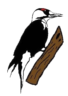 forestcreekgolfclub.com logo