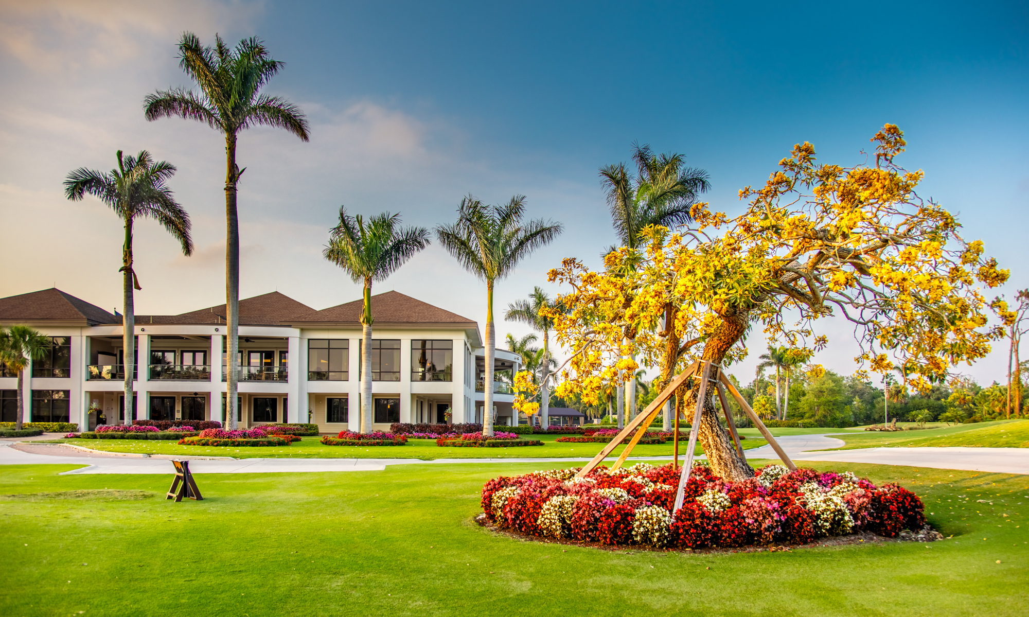 wyndemere.com — Mixed Member Guest