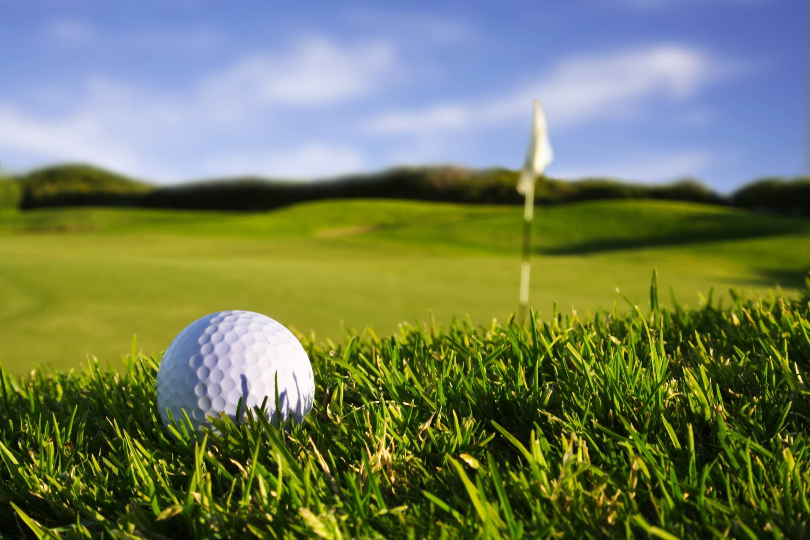 bogeyhillscc.com — Couples Member Guest