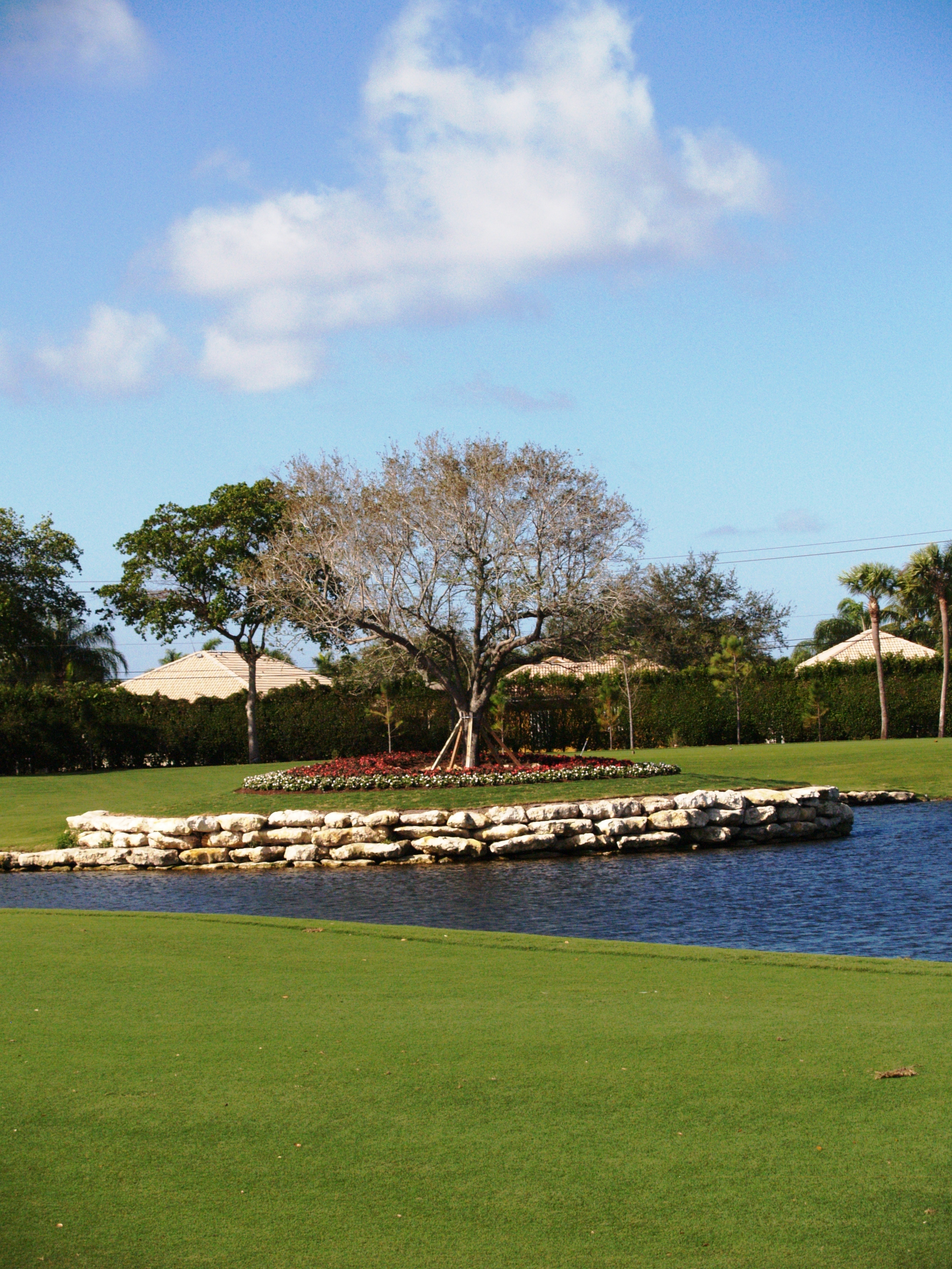 gleneagles.cc — Ladies 9 Hole Member-Guest