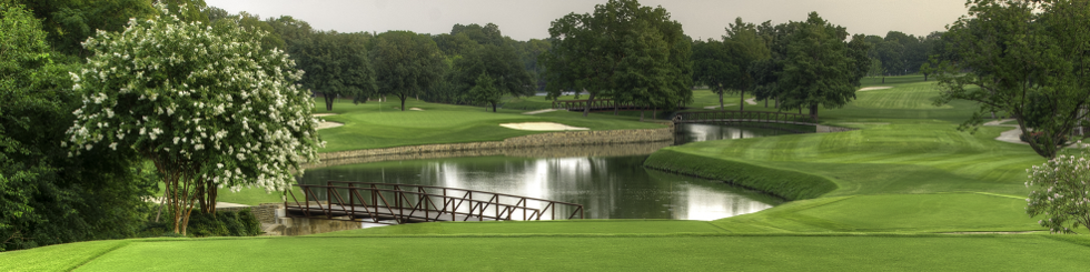 ptgc.net — One Day Member Guest