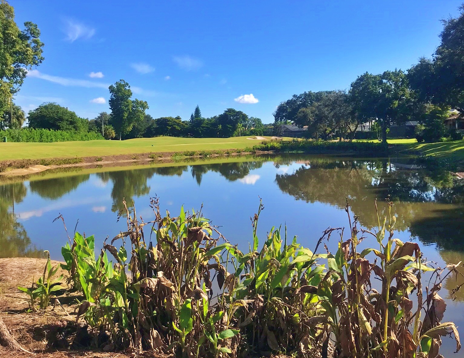 Fiddlesticks Country Club — Couples Member-Guest